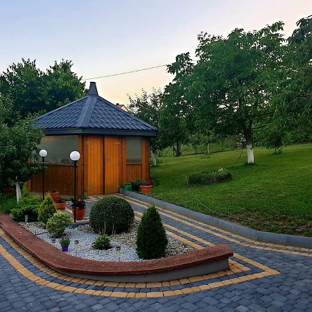 U Wladzia Apartamento Gowidlino Exterior foto